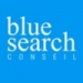 BLUE-SEARCH CONSEIL